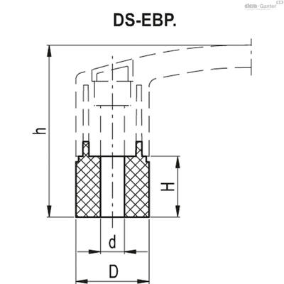 DS-EBP.