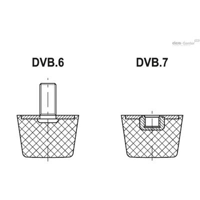 DVB.6